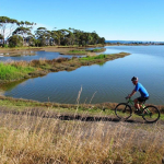 Cyclist enjoying a ride around local waterway.
