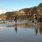 Walking along the beach towards Cape Kidnappers.