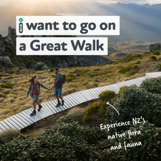I want to go on a Great Walk